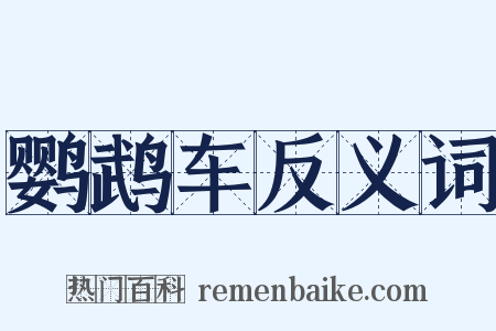 鹦鹉车反义词是什么意思的图片